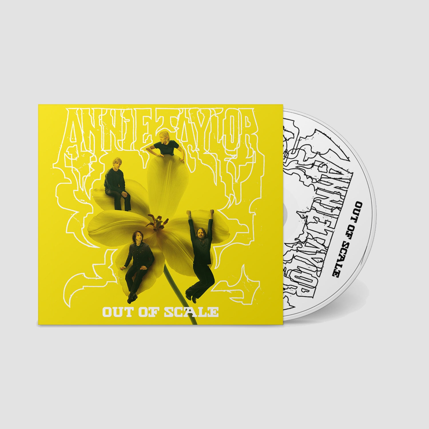 Annie Taylor - Out of Scale